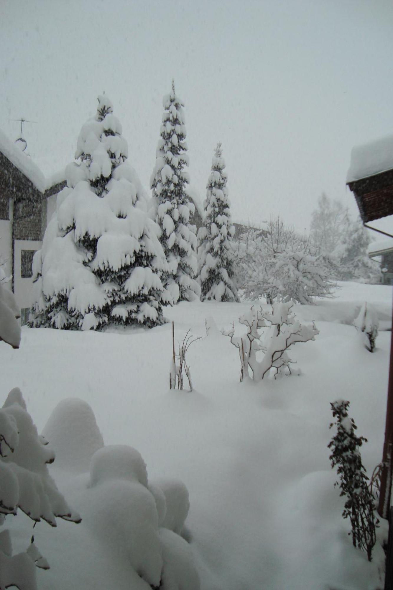 Landhaus Bachler บริกเซินอิมทาเล ภายนอก รูปภาพ